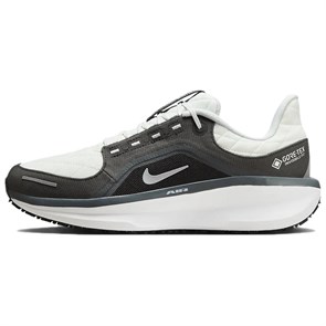 Nike Winflo 11 Gore Tex Anthracite Black Photon Dust Metallic Silver FQ1358-004