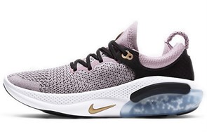 Nike Joyride Run Flyknit Plum Chalk Women's AQ2731-500