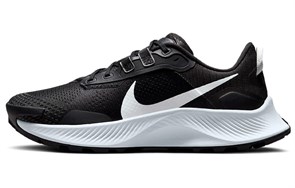 Nike Pegasus Trail 2 Black Platinum Women's DA8698-001