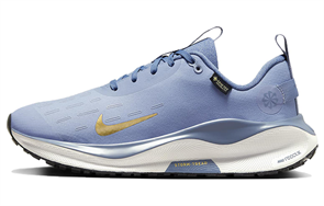 Nike ReactX Infinity Run 4 GORE TEX 'Ashen Slate Metallic Gold' Women's FB2197-400
