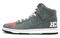 Nike Sb Dunk High Brain Wreck 313171-007 - фото 538237
