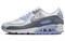 Nike Air Max 90 White Wolf Gray Photon Dust Women's FB8570-100 - фото 546678