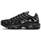 Nike Air Max Plus Se Black Chrome Women's HJ9743-001 - фото 548402