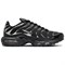 Nike Air Max Plus Se Black Chrome Women's HJ9743-001 - фото 548403