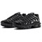 Nike Air Max Plus Se Black Chrome Women's HJ9743-001 - фото 548404