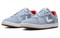Nike Alleyoop SB Obsidian Mist CJ0882-400 - фото 577601