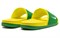 Nike College Offcourt Oregon DA4853-300 - фото 578463
