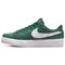 Nike Sb Pogo Plus Premium Gorge Green Women's DQ5127-300 - фото 618333