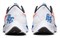 Nike Air Zoom Pegasus 38 Blue Ribbon Sports White Game Royal DQ8575-100 - фото 624413