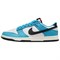 Nike Dunk Low Next Nature N7 Dark Turquoise HJ9088-488 - фото 625411
