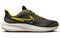 Nike Pegasus Turbo Shield 'Black Golden Beige' FV8107-070 - фото 627206