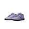Nike Sb Vertebrae Low Top Casual Shoes Men's Purple FD4691-501 - фото 628202