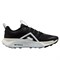 Nike Wildhorse 10 Black Anthracite Platinum Tint Wolf Grey FV2338-001 - фото 628404