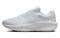 Nike Winflo 11 White Photon Dust White FJ9509-100 - фото 628443