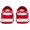 Nike Dunk Low Next Nature St. John's Women's DD1873-116 - фото 631526